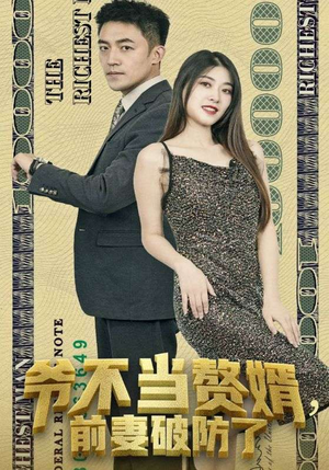 爷不当赘婿，前妻破防了（80集）红果免费短剧