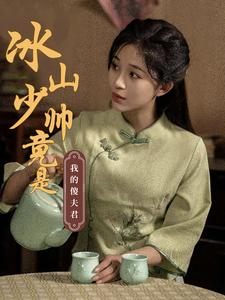 冰山少帅竟是我的傻夫君（86集）80到100集
