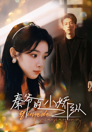 秦爷的小娇纵（96集）免费短剧完整版