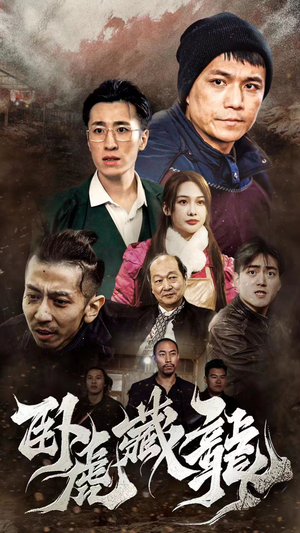 卧虎藏龙（92集）热门短剧推广