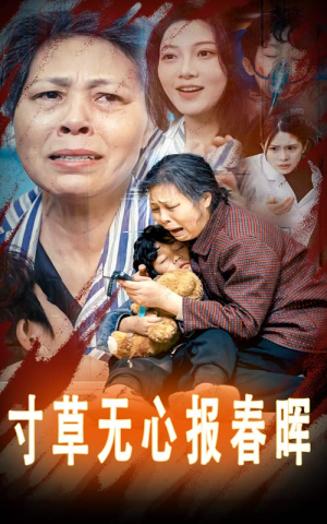 寸草无心报春晖（31集）最新上映的短剧