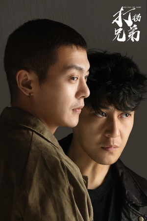 打拐兄弟（30集）短剧