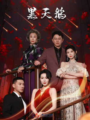 黑天鹅（51集）经典老剧免费看