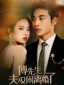 傅先生夫人又闹离婚了（80集）口碑之选免费看
