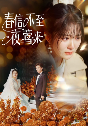 春信不至夜莺来（50集）第32集