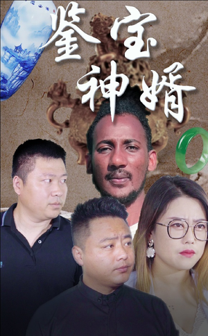 鉴宝神婿（87集）高清画质免费看