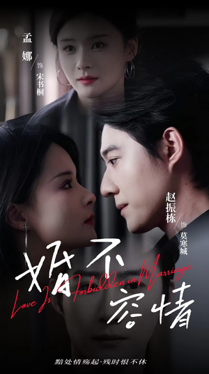 婚不容情（89集）1-102集