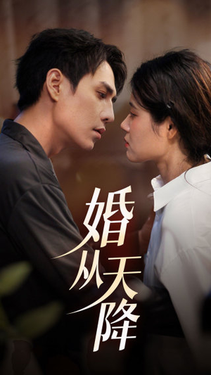 婚从天降（92集）全集一次看完