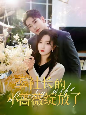 季社长的小蔷薇绽放了（60集）好看的短剧