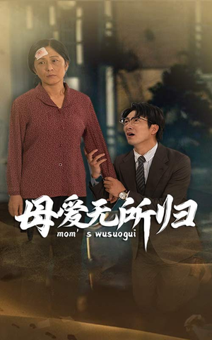 母爱无所归（33集）百度在线观看