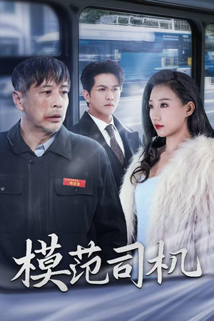 模范司机（30集）全集一网打尽