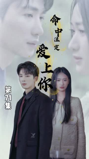 命中注定爱上你（96集）免费观看全集