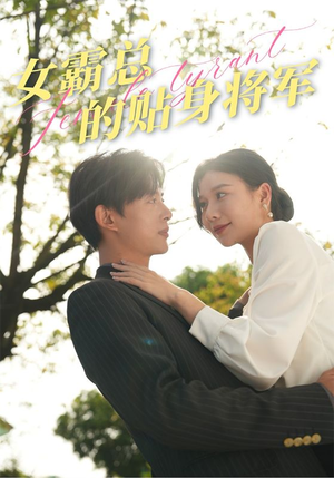 女霸总的贴身将军（80集）短剧越看越精彩