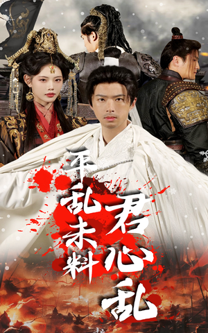 平乱未料君心乱（30集）全季一次看完