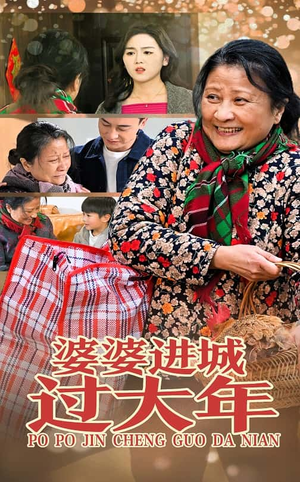 婆婆进城过大年（33集）最火的短剧