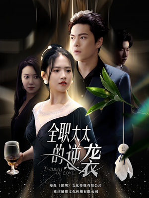 全职太太的逆袭（80集）第二季
