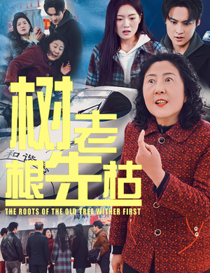 树老根先枯（33集）热门短剧榜单
