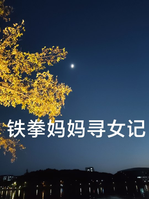 铁拳妈妈寻女记（69集）免费短剧合集