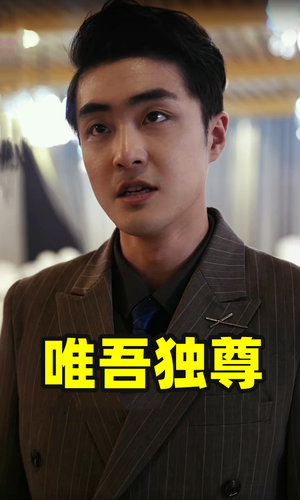唯吾独尊（96集）短剧热门合集