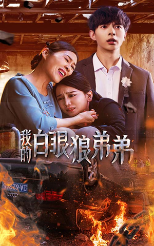 我的白眼狼弟弟（69集）在线看到大结局