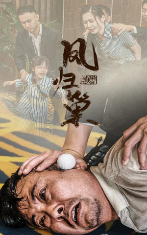 新版：凤归巢（68集）免费版