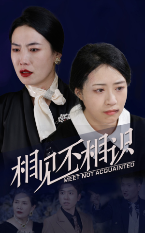 相见不相识（34集）解说文案