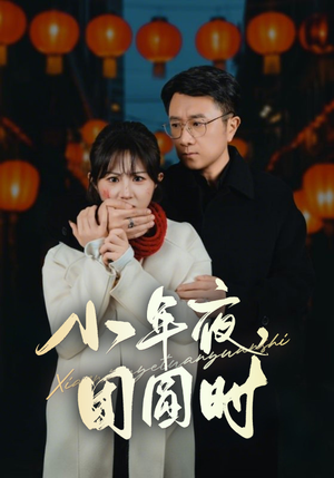 小年夜万家灯火没有我（35集）精彩短剧抢先看