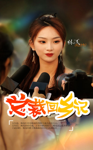 总裁回乡记（67集）看到大结局