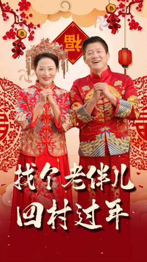找个老伴儿回村过年（58集）火爆短剧来袭