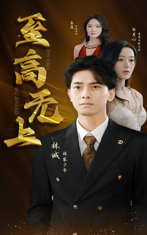 至高无上（30集）百度网盘资源