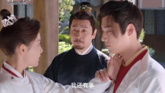 有花在洲（28集）常回家看看短剧