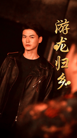 游龙归乡（60集）精彩不断免费看
