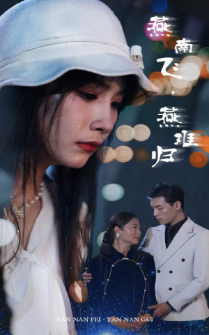 燕南飞，燕难归（31集）热播短剧排行榜