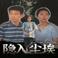 隐入尘埃（30集）全集
