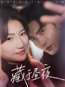 藏于昼夜（68集）大结局一气呵成