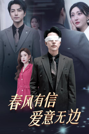 失明之后爱意尽毁（30集）短剧抢先看全集
