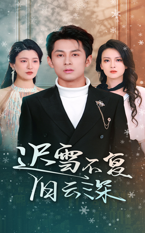 迟雪不复旧云深（45集）怎么看全集