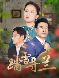 踏雪寻兰（94集）口碑之选免费看