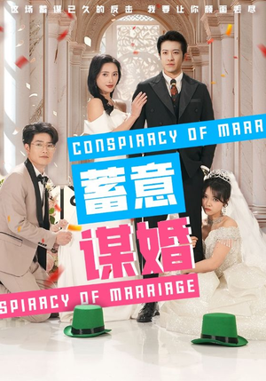 蓄意谋婚（30集）高分推荐免费看