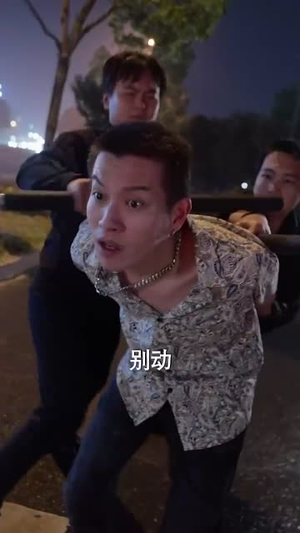 勇敢姐姐向前冲（79集）红果免费短剧