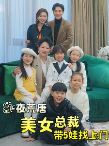 一夜荒唐美女总裁带5娃找上门（77集）免费观看完整版