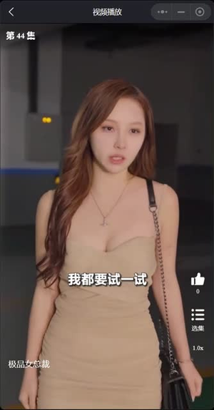 我的富豪美女总裁（我的极品女总裁）每日短剧追不停