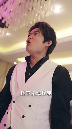 龙兄鼠弟（35集）免费观看