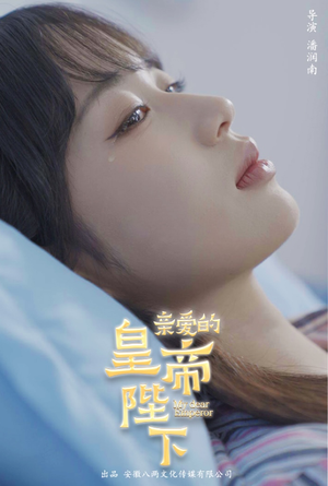 亲爱的皇帝陛下（81集）精彩好看短剧