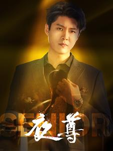 夜尊（95集）好看的短剧电影