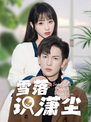 雪落识潇尘（80集）超甜短剧抢先看