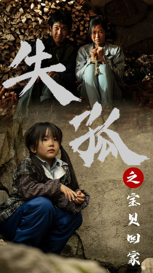 失孤之宝贝回家（71集）古装短剧热播