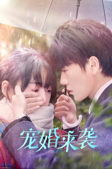 宠婚来袭（102集）第32集