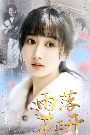 雨落花正开（62集）免费观看完整版