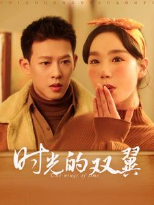 时光的双翼（94集）看到大结局